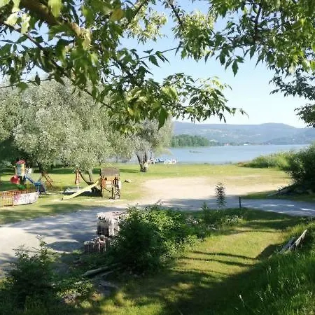 דירה Goscinne U Brody *