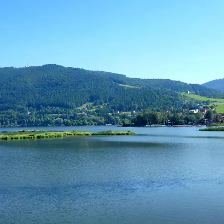 Goscinne U Brody * מידז'יברודז'י ז'יוויקי