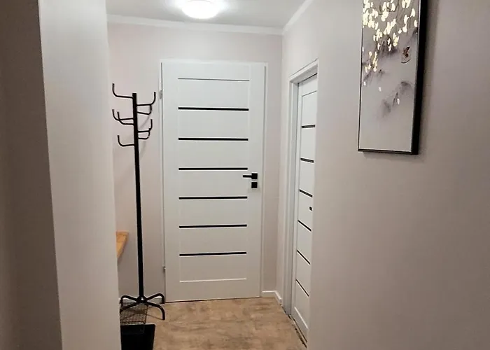 Goscinne U Brody * מידז'יברודז'י ז'יוויקי